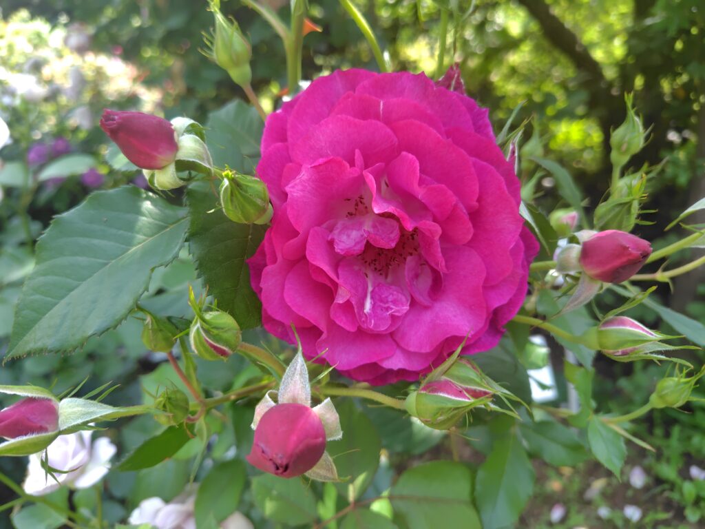 画像に alt 属性が指定されていません。ファイル名: 250520134850384-1024x768.jpg