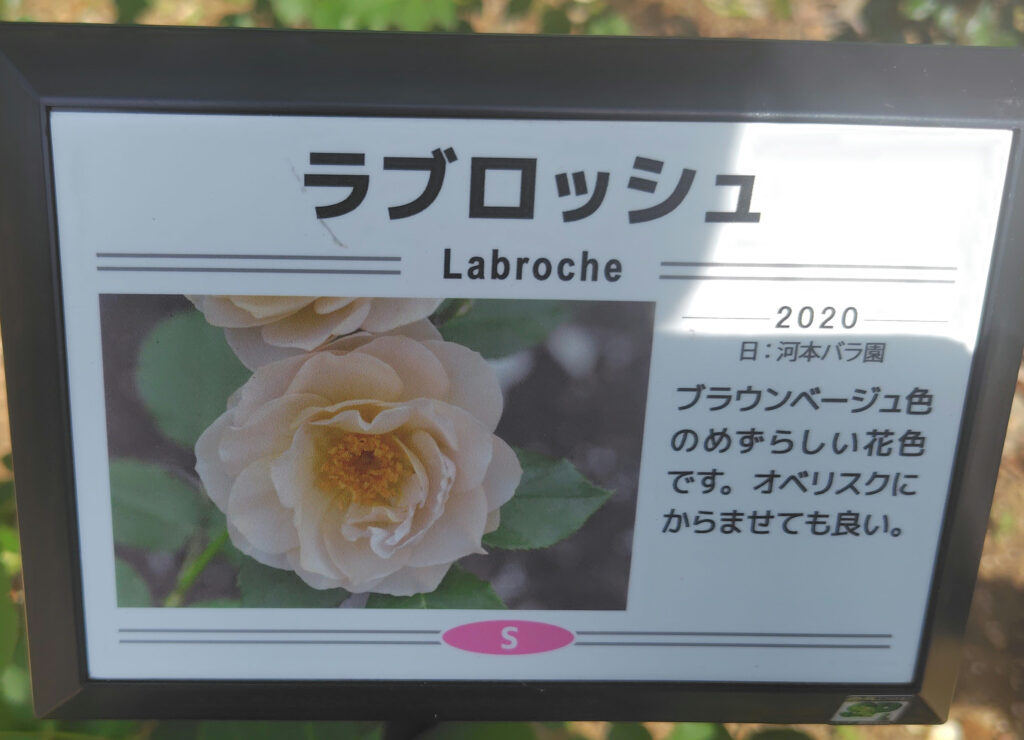 画像に alt 属性が指定されていません。ファイル名: 250520135051358_1-1024x740.jpg