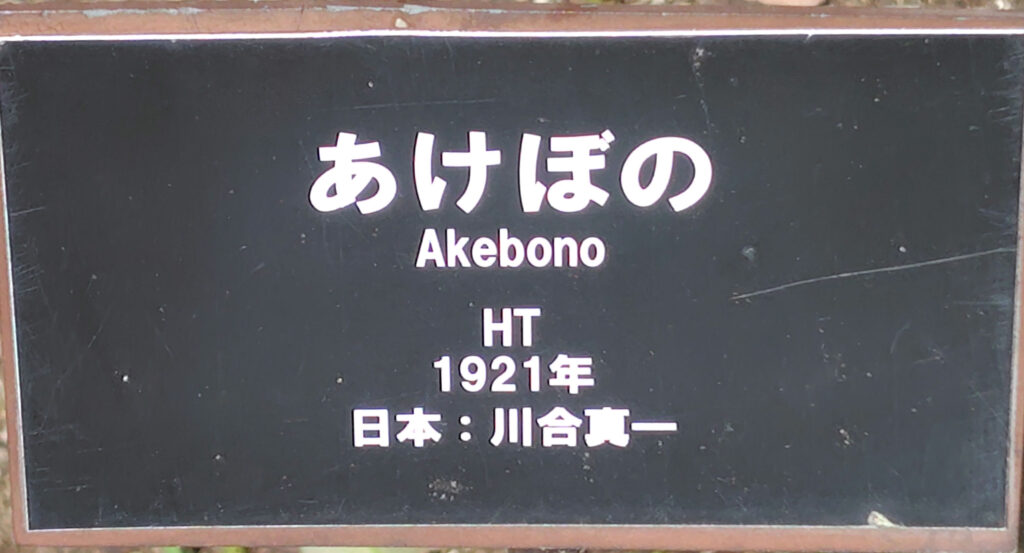 画像に alt 属性が指定されていません。ファイル名: 250520135426996_1-1024x553.jpg