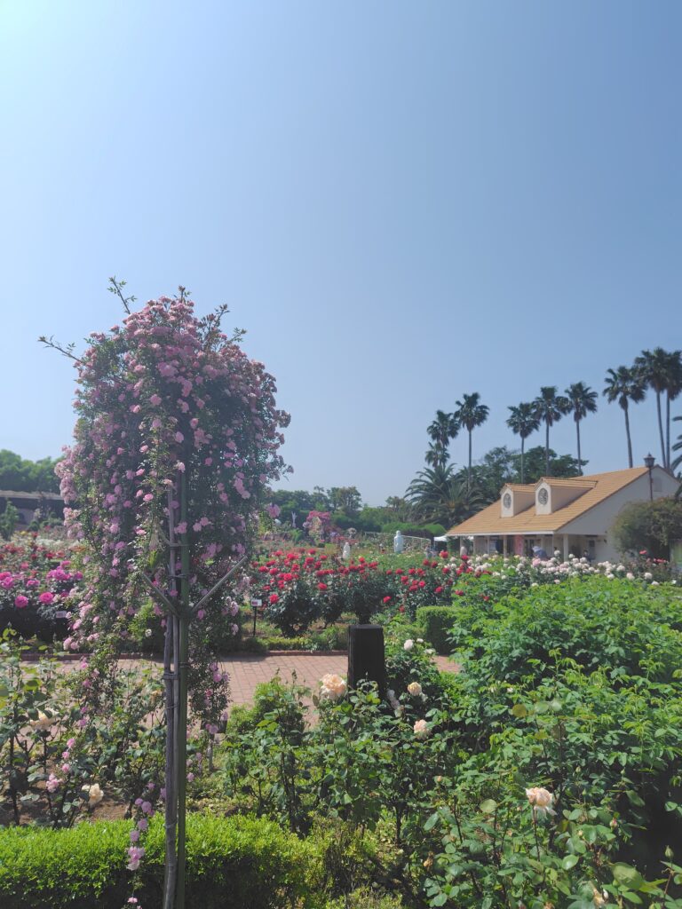 画像に alt 属性が指定されていません。ファイル名: 250520135634410-768x1024.jpg