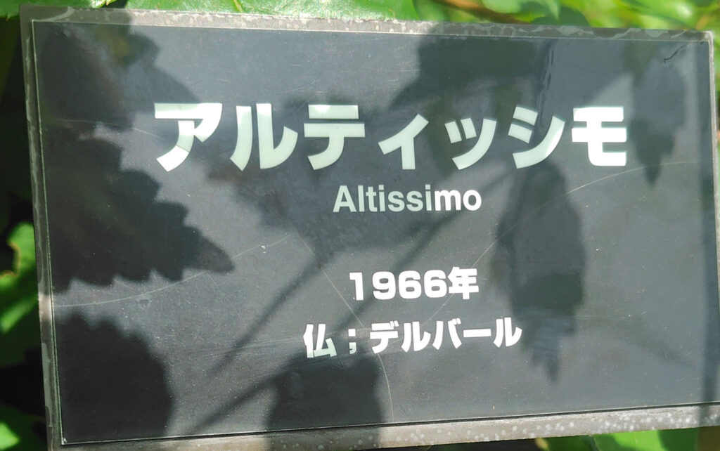 画像に alt 属性が指定されていません。ファイル名: 250520135743581_1-1024x642.jpg