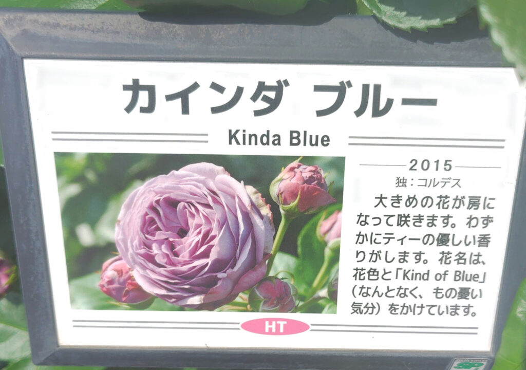 画像に alt 属性が指定されていません。ファイル名: 250520141226777_1-1024x720.jpg